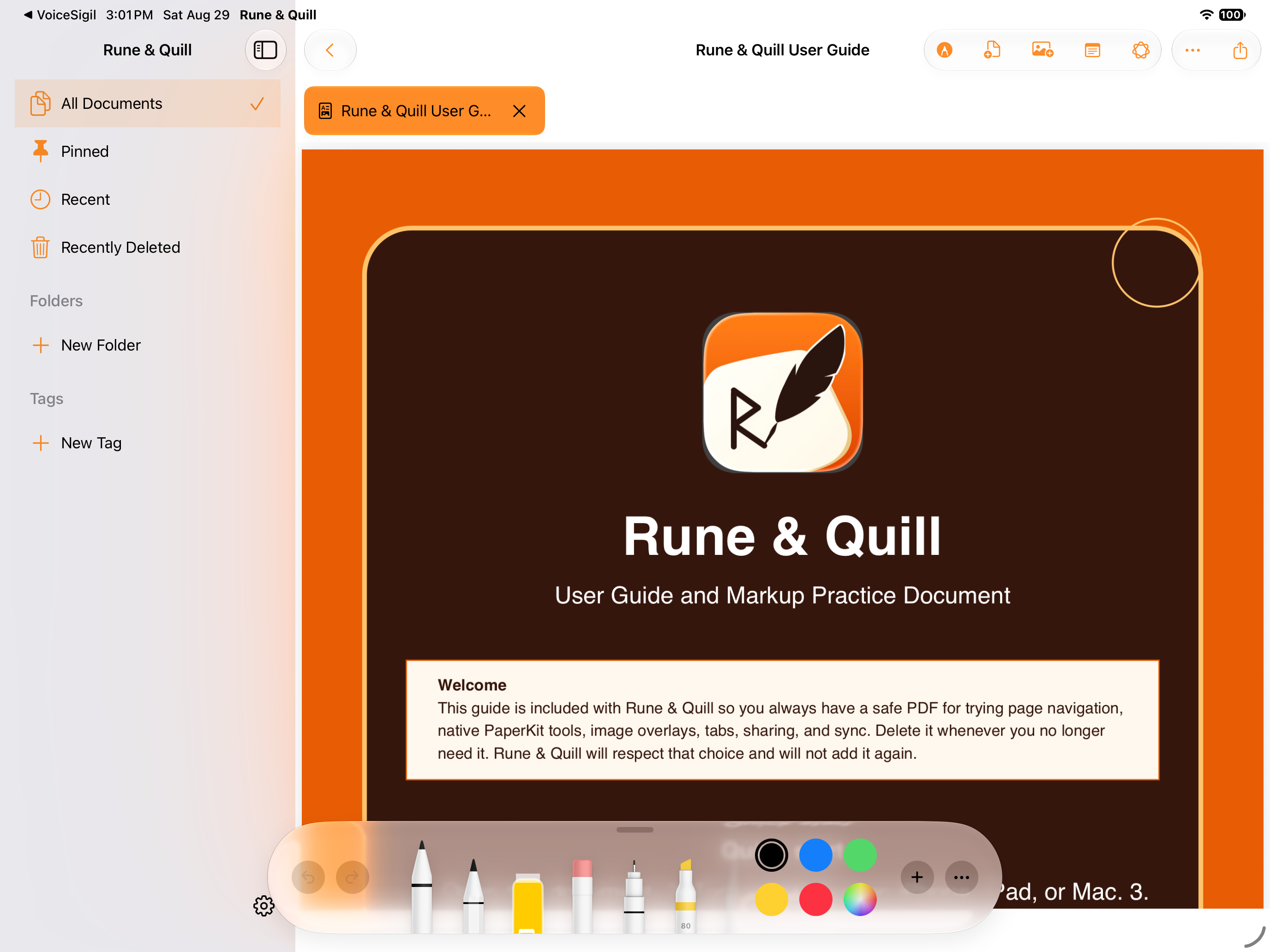 Rune & Quill markup workspace on iPad